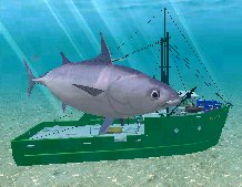 Skipjack Tuna, click to download