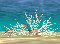 Staghorn Coral-Sand, click to download